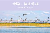 “中国·乌梁素海”全国摄影作品展
