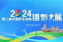 第二届中国野生动物摄影大展