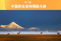 第三届中国野生动物摄影大展