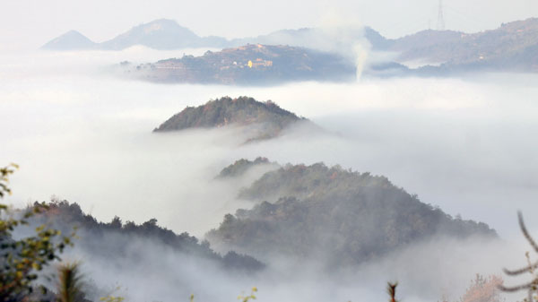 《雾海》