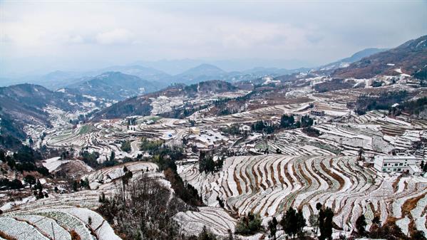 凤堰梯田雪景 陈良忠 摄