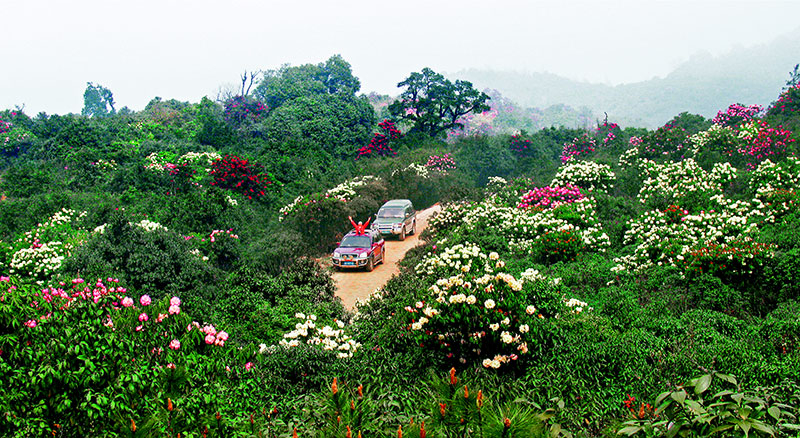 云南省师宗县菌子山景区