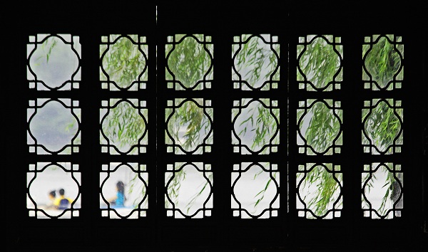 参赛大图 《莫愁湖的初夏》—蒋宁—13337822793.jpg