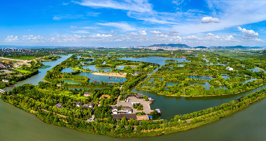 太湖湿地公园-秦建民 摄