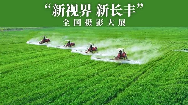 长丰全国摄影大展