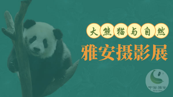 “大熊猫与自然”雅安摄影展