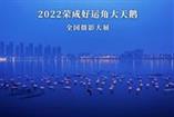 2022荣成好运角大天鹅全国摄影大展