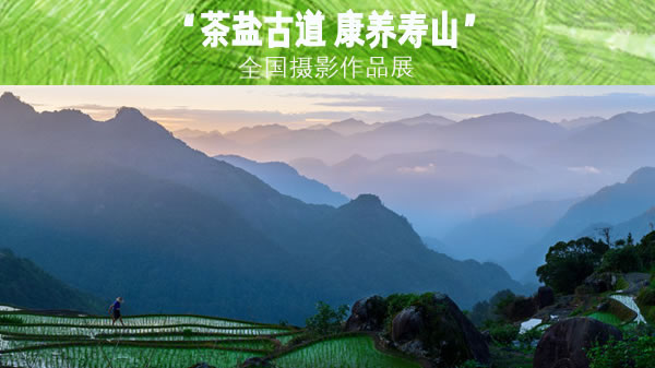 寿山摄影作品展