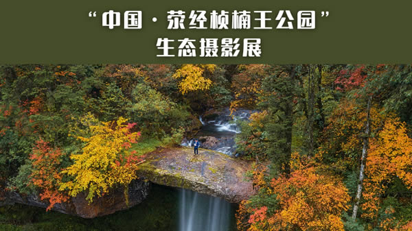 “中国·荥经桢楠王公园”生态摄影展