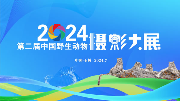 第二届中国野生动物摄影大展