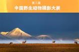 第三届中国野生动物摄影大展