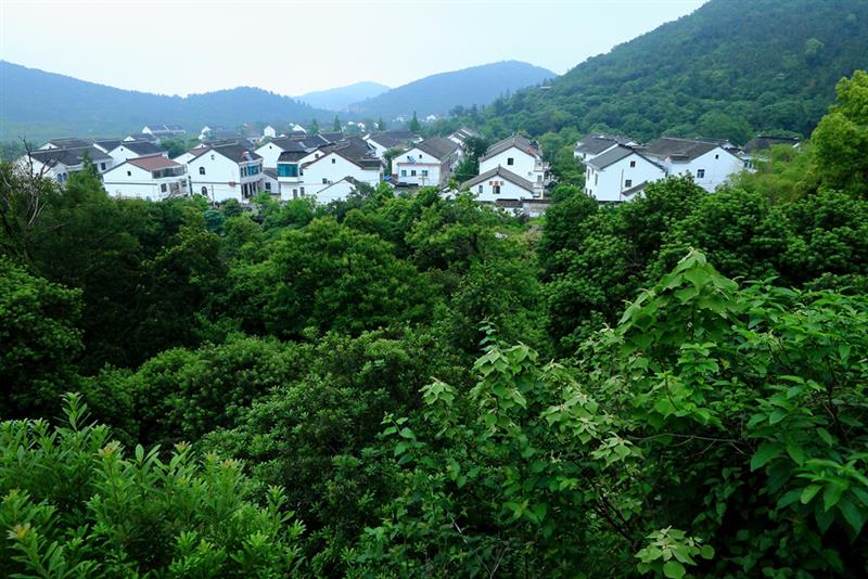 《 拥翠山庄 》  作品描述:   拍摄地点: 江苏省苏州市高新区树山村