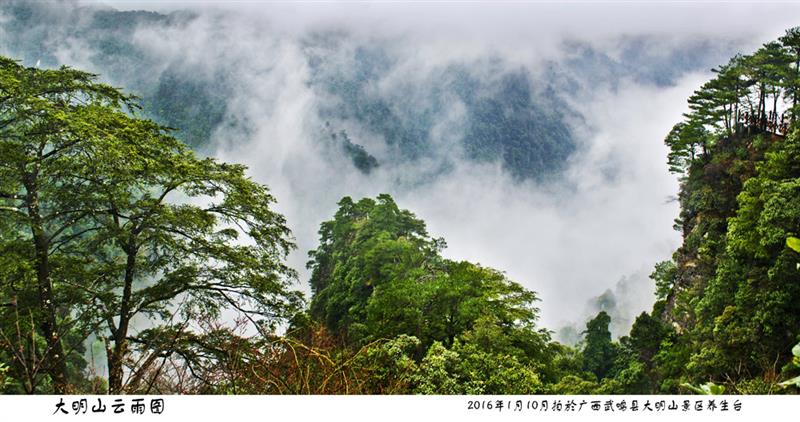 拍摄地点: 广西武鸣大明山风景区  拍摄时间: 2016-01-11  作品