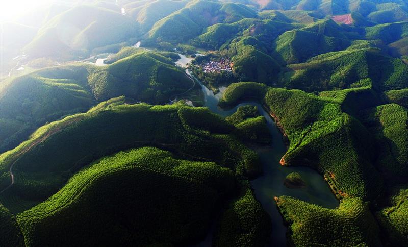 拍摄地点: 武鸣县仙湖镇渌雅村  拍摄时间: 2015-11-08  作品