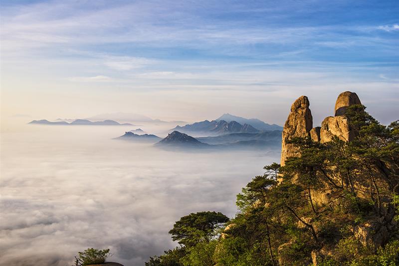 水何澹澹,山岛竦峙.树木丛生,百草丰茂.秋风萧瑟,洪波涌起.