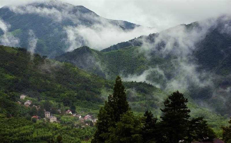 拍摄地点 临安高虹镇大山村林家塘