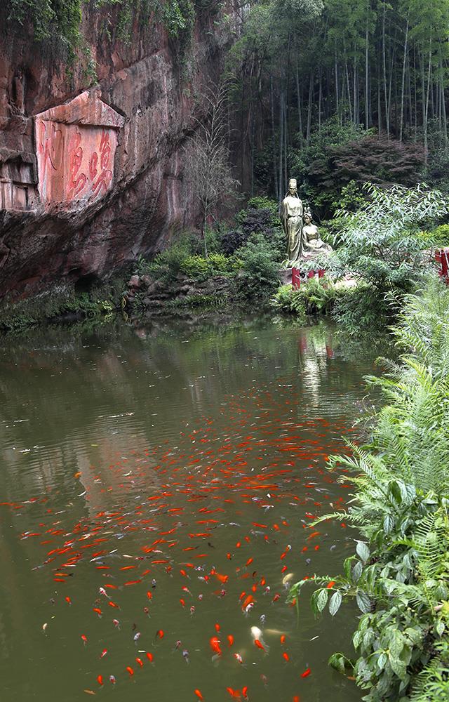 拍摄地点: 青神县中岩寺唤鱼池  拍摄时间: 2016-05-18  作品