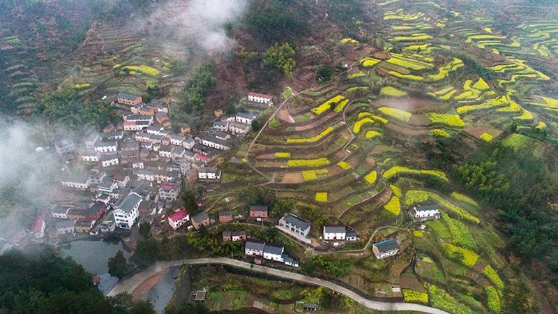 拍摄地点 淳安金峰乡百照村 拍摄时间 2017-03-19 作品