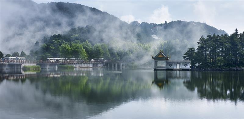 拍摄地点: 庐山如琴湖  拍摄时间: 2015-06-19  作品       苗树林