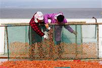 《齐心协力》