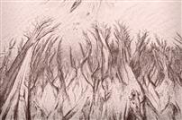 《沙画》