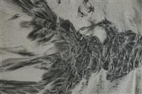 肌