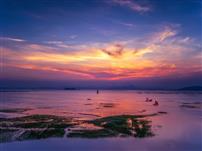 赶海归来