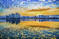 金色城市