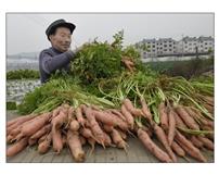 老农