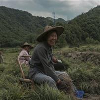 喜悦