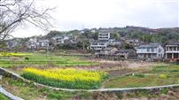 乡村气息美