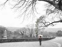 雨中登上