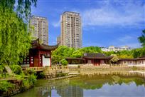 柳浪闻莺
