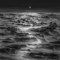 海上明月共潮生