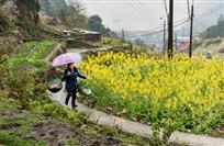 《雨中归途》