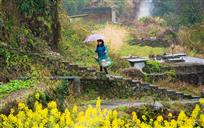 《雨中行》