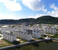 新农村