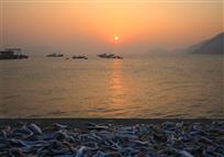 静静的港湾