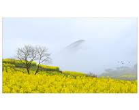 美丽石峰山