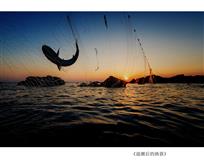 《退潮后的渔获》