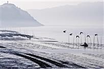 龙湾风光