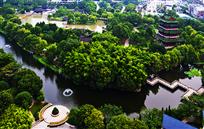 绿色满园