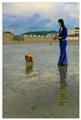 《海滩女人和狗》
