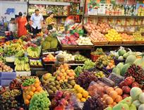 楚门水果市场印象