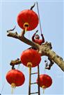 大红灯笼高高挂