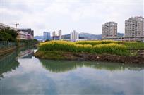 绿水青山