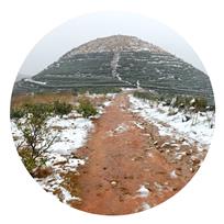 茶园沁雪