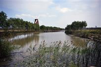 漩门湾湿地.