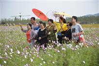 漩门湾花海迷醉游客