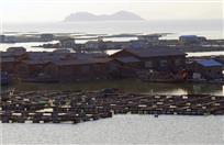 海上人家